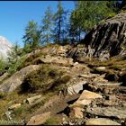 ein steinerner und steiniger Weg...