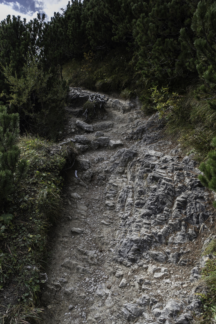 Ein steiniger Weg