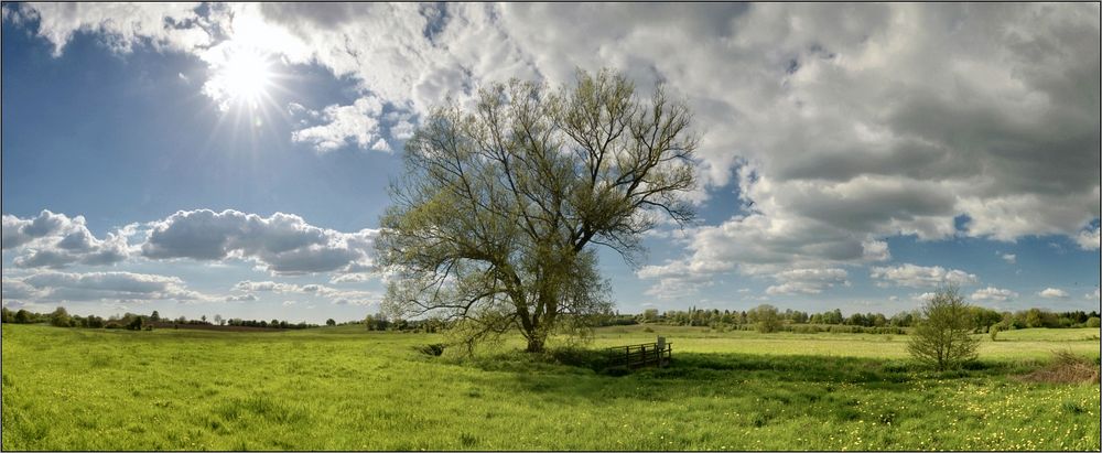 ein Steinwurf weg von......