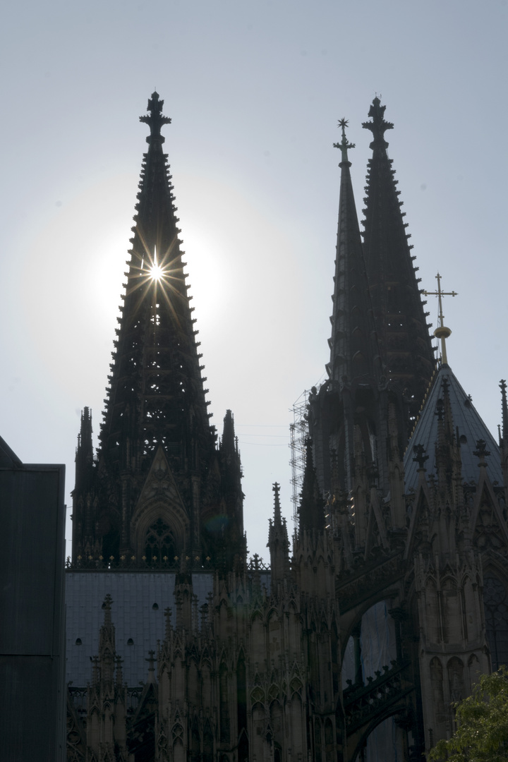 Ein Stern am hohen Dom zu Köln