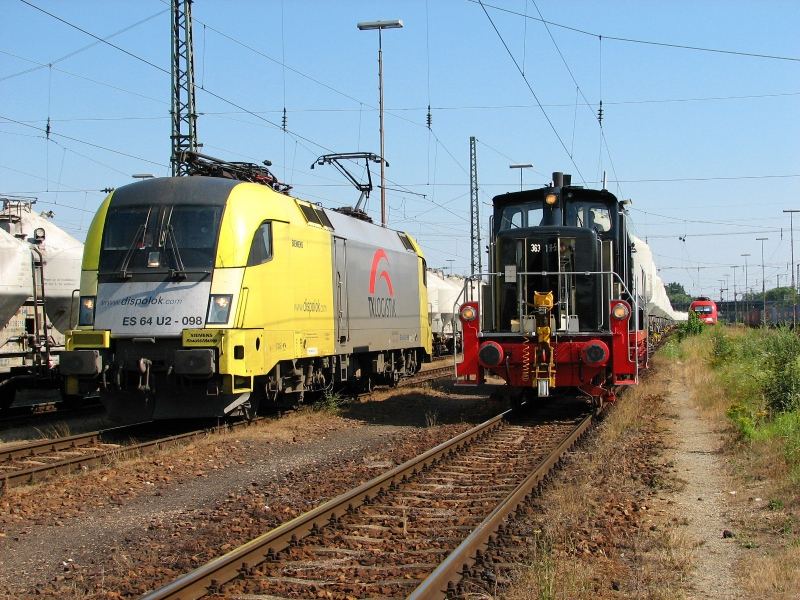 Ein Stier und eine "schwarze Bestie"