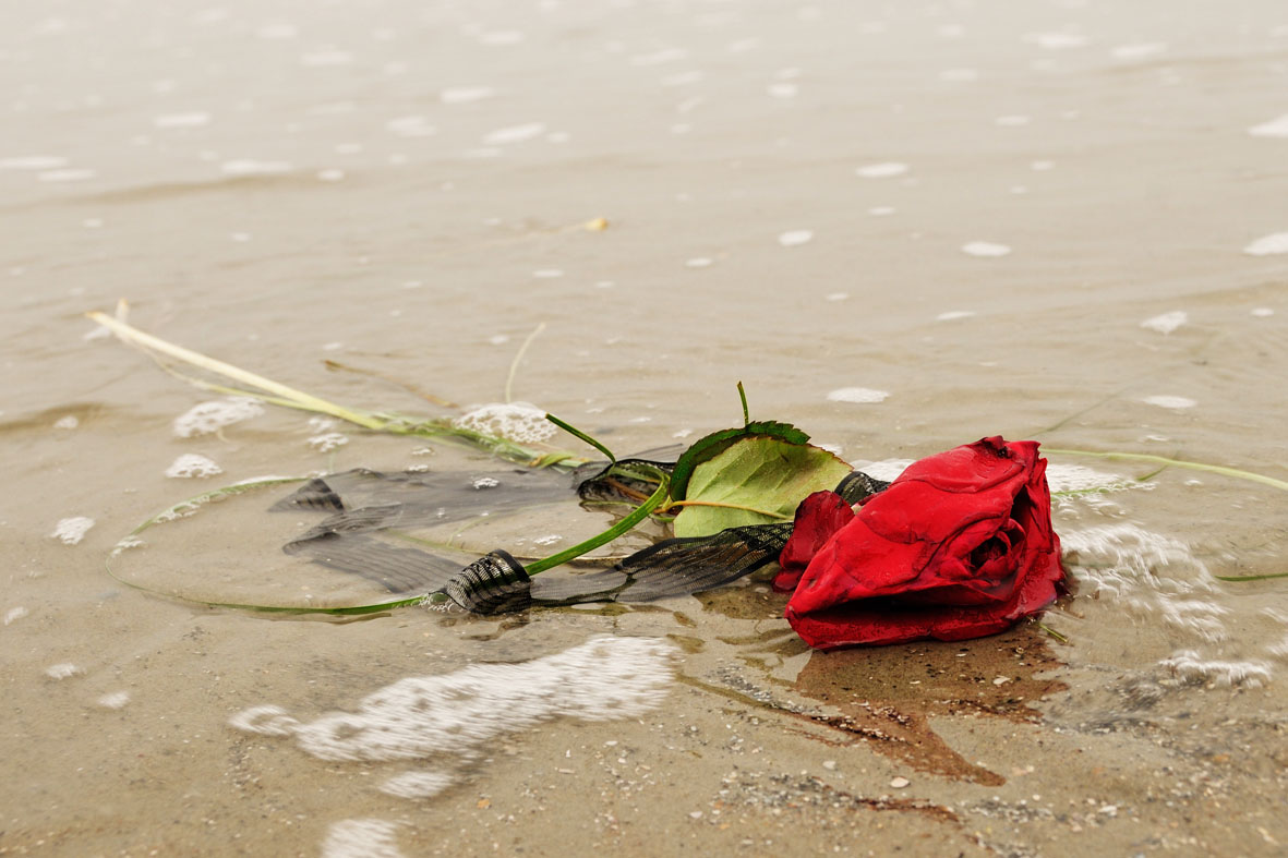 Ein stiller Gruß - angespült gestern am Strand vor Borkum