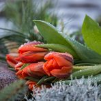 Ein stiller Gruß auf dem Friedhof