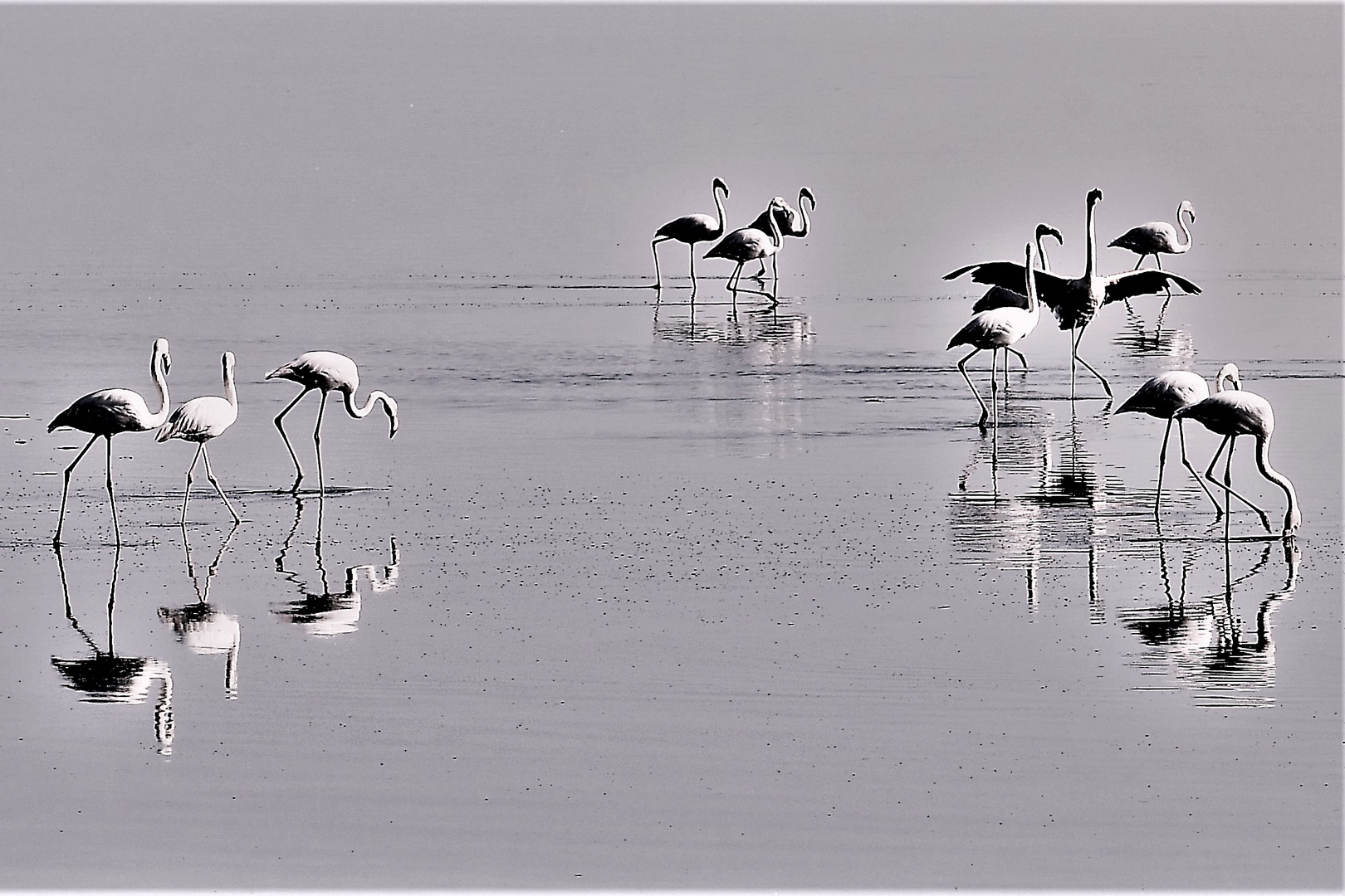 Ein stiller Sommermorgen an der Lagune.