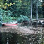 Ein stiller Waldsee