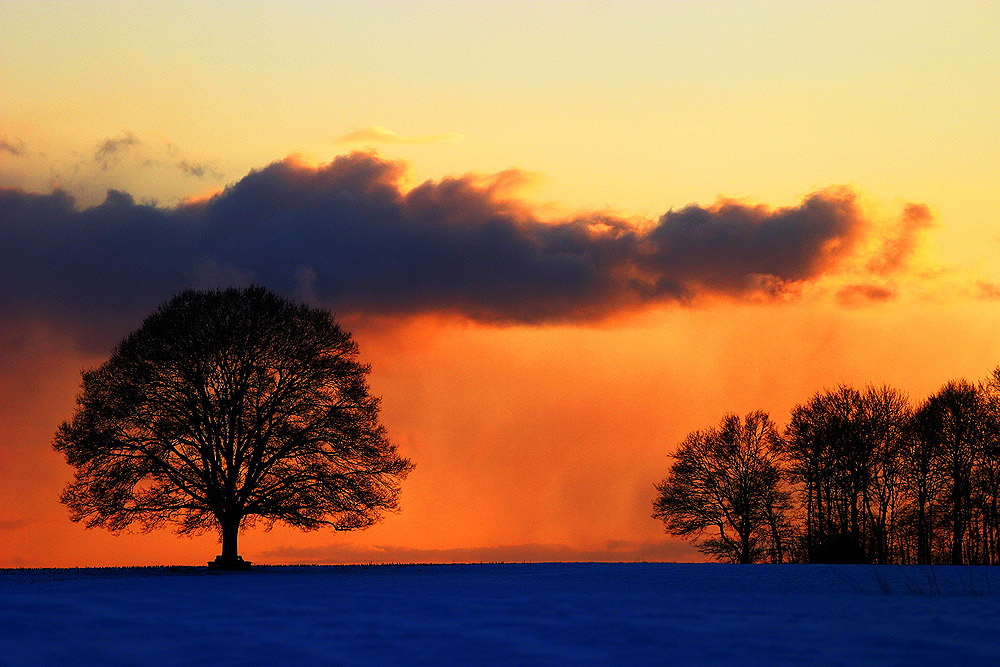 Ein stiller Winterabend