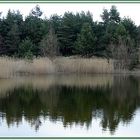 Ein stillgelegener Teich
