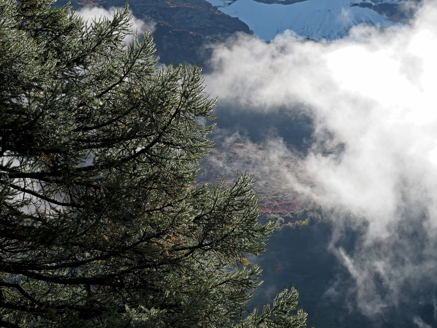 Ein Stimmungsbild aus Kandersteg... - Une prise de vue de Kandersteg...