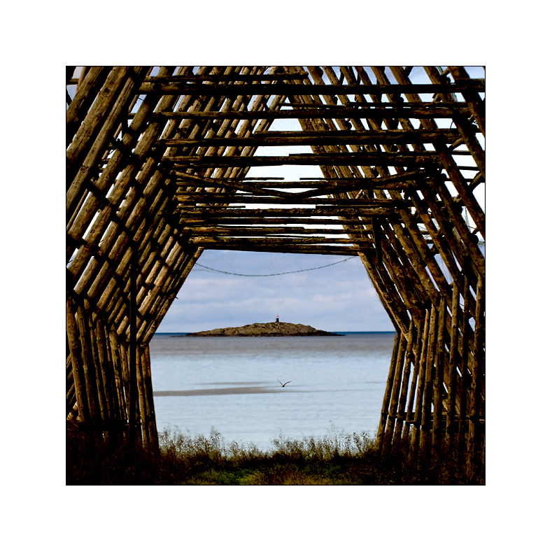 ein stockfischgestell, das meer mit insel, leuchtfeuer und möwe