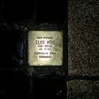 Ein Stolperstein auf der Duisburger Königstraße