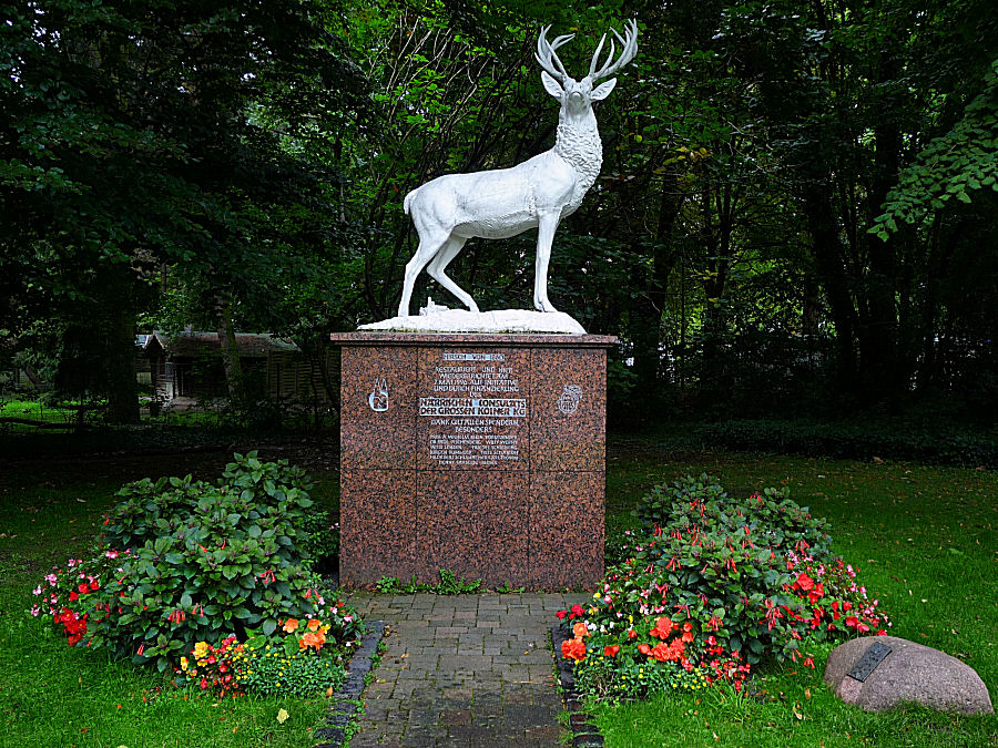 Ein stolzer Hirsch