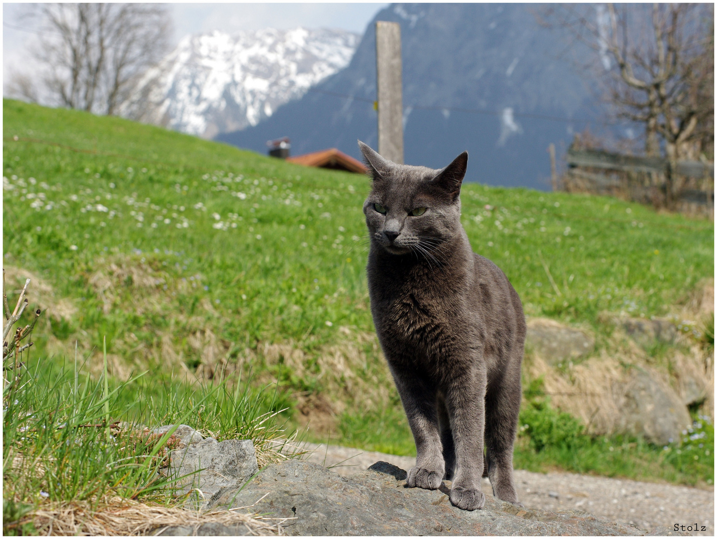 Ein stolzer Oberstdorfer