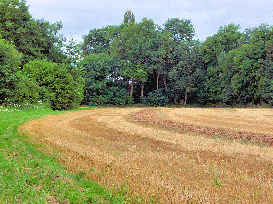 Ein Stoppelfeld in der Eifel