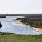 Ein Storch an der Nordsee