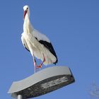 Ein Storch auf der Laterne.