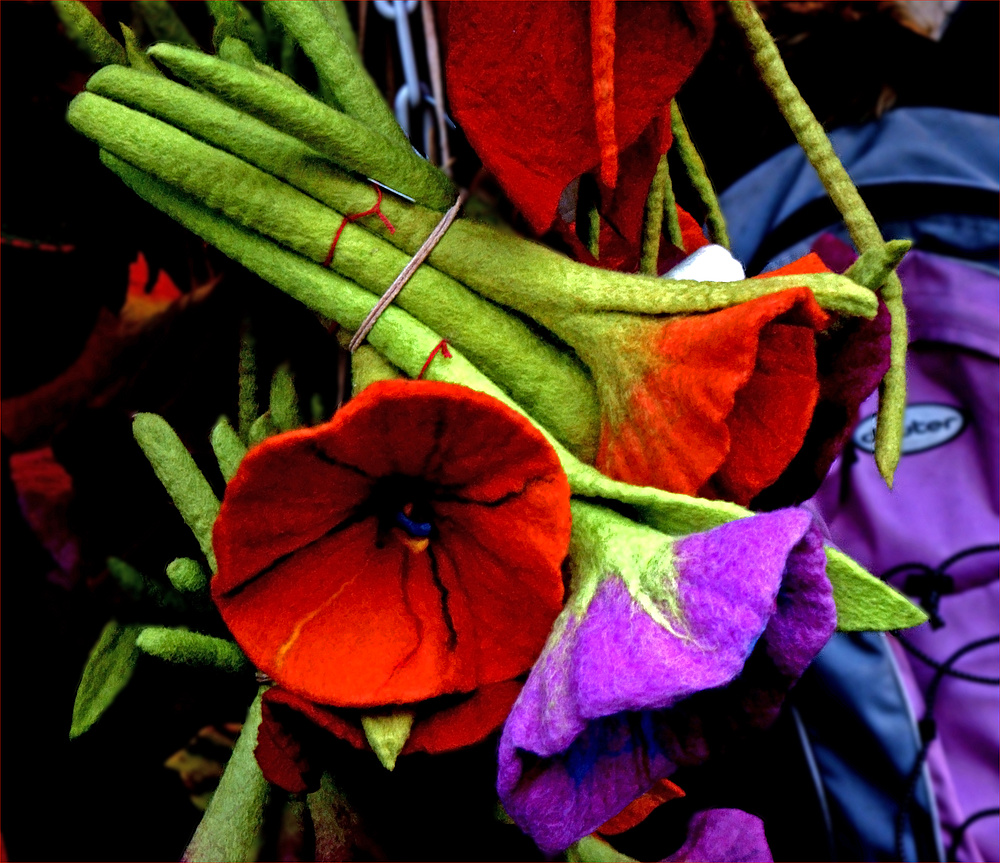 Ein Sträußchen Buntes im Winter