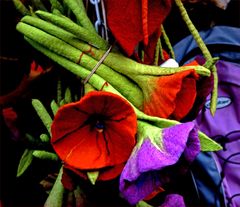 Ein Sträußchen Buntes im Winter