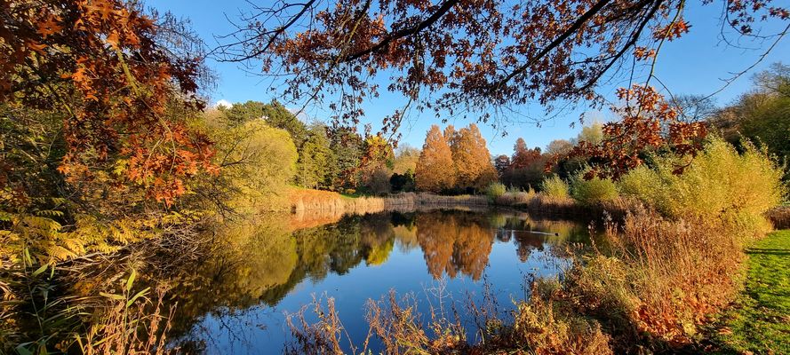 Ein strahlend schöner Novembertag