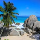 Ein Strand auf den Seychellen