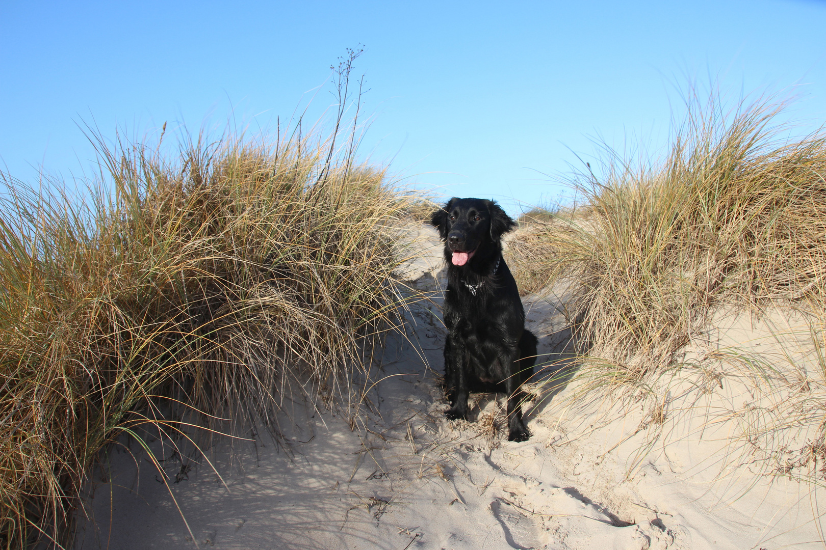 Ein Strandbesuch ist toll...