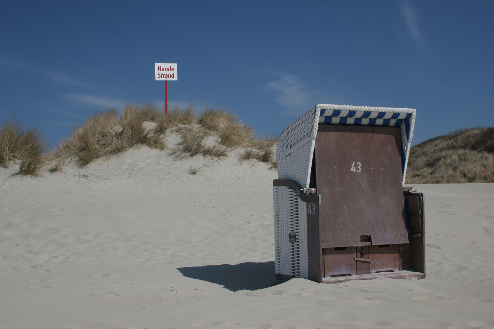 Ein Strandkorb für den Hund?