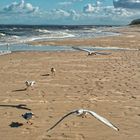 Ein Strandspaziergang