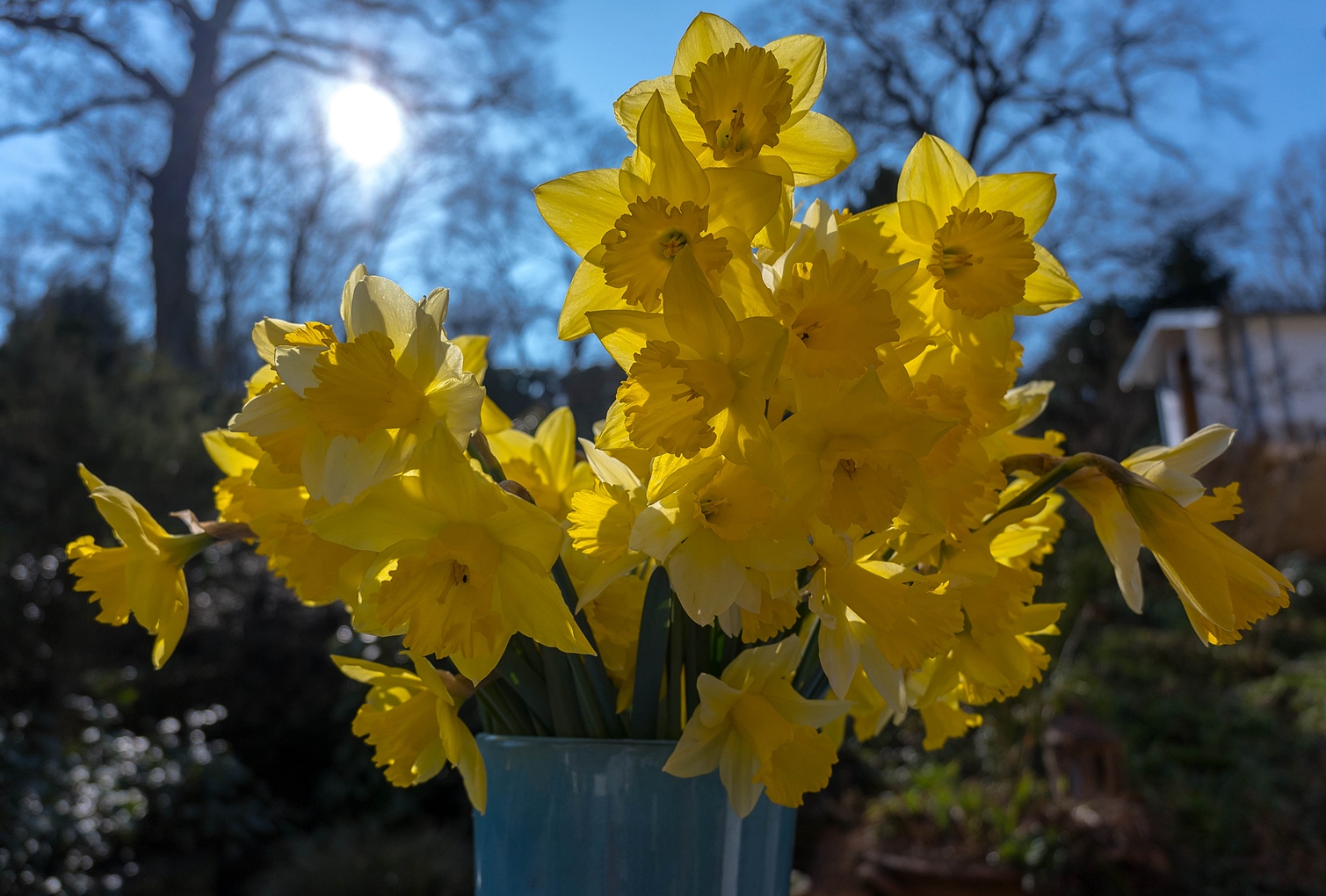 Ein Strauss aus dem Garten