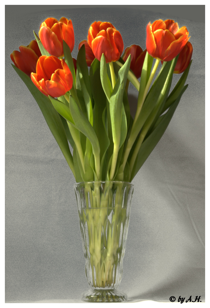 ein Strauß rote Tulpen...