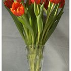 ein Strauß rote Tulpen...