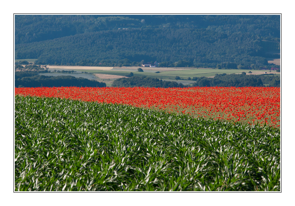 ein Streifen in Rot