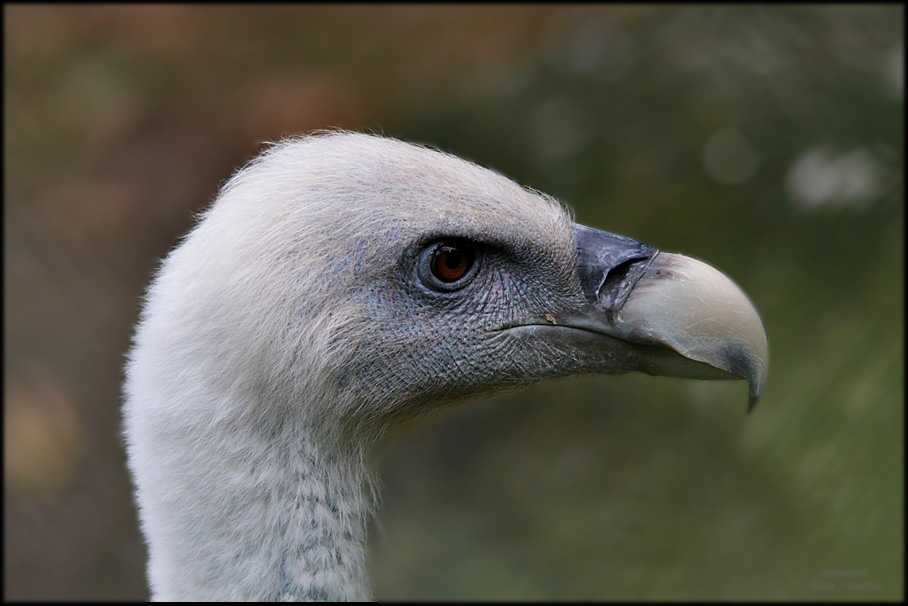 Ein strenger Blick ?!?