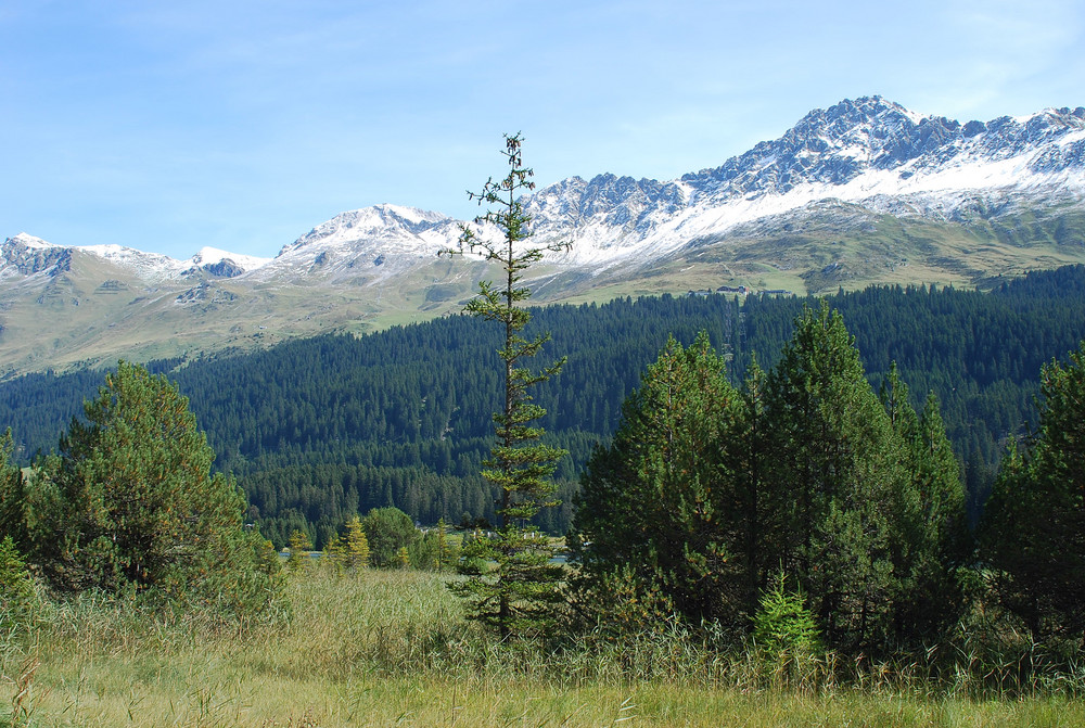 Ein Strich in der Natur (Lenzerheide)