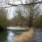 ein Stück abwärts sperrt der Baum den Fluss