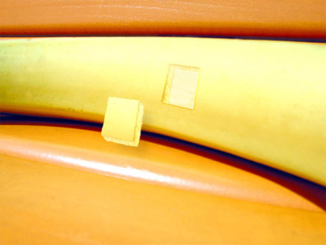 ein Stück Bananenschale
