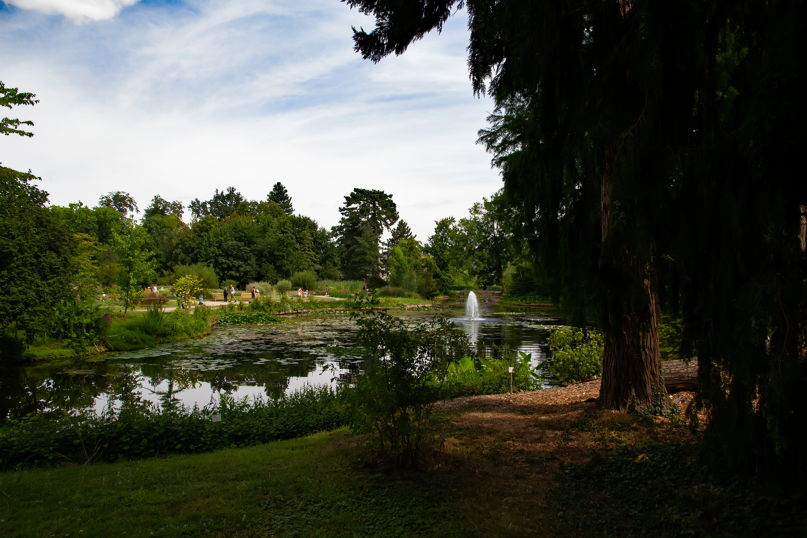 Ein Stück Botanischer Garten