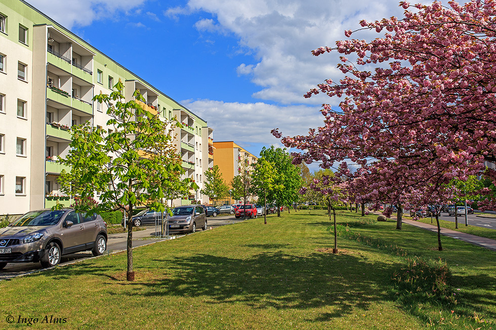 Ein Stück bunte Heimat