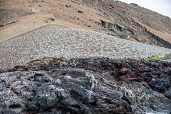 Ein Stück der Isla Bartolome und der Lebensraum-           _DSC9619