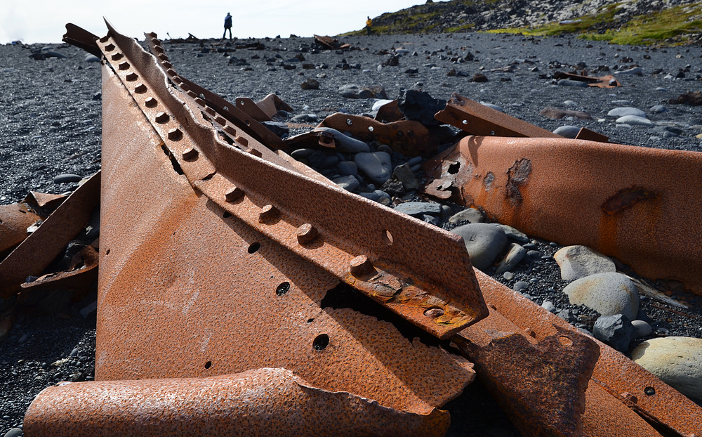 Ein Stück "Epine" am Strand von Djupalonsandur