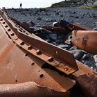 Ein Stück "Epine" am Strand von Djupalonsandur