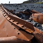 Ein Stück "Epine" am Strand von Djupalonsandur