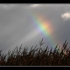 Ein Stück gebrochenes Licht...