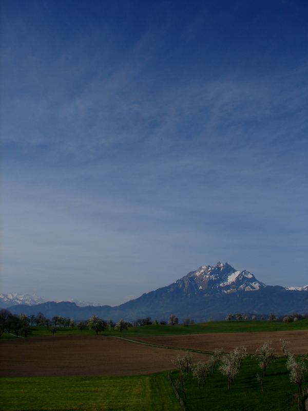 ein stück heimat