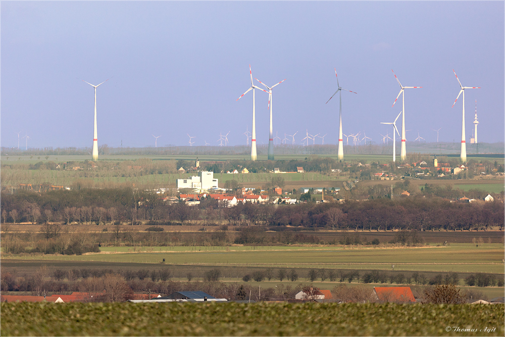 ein Stück Heimat...