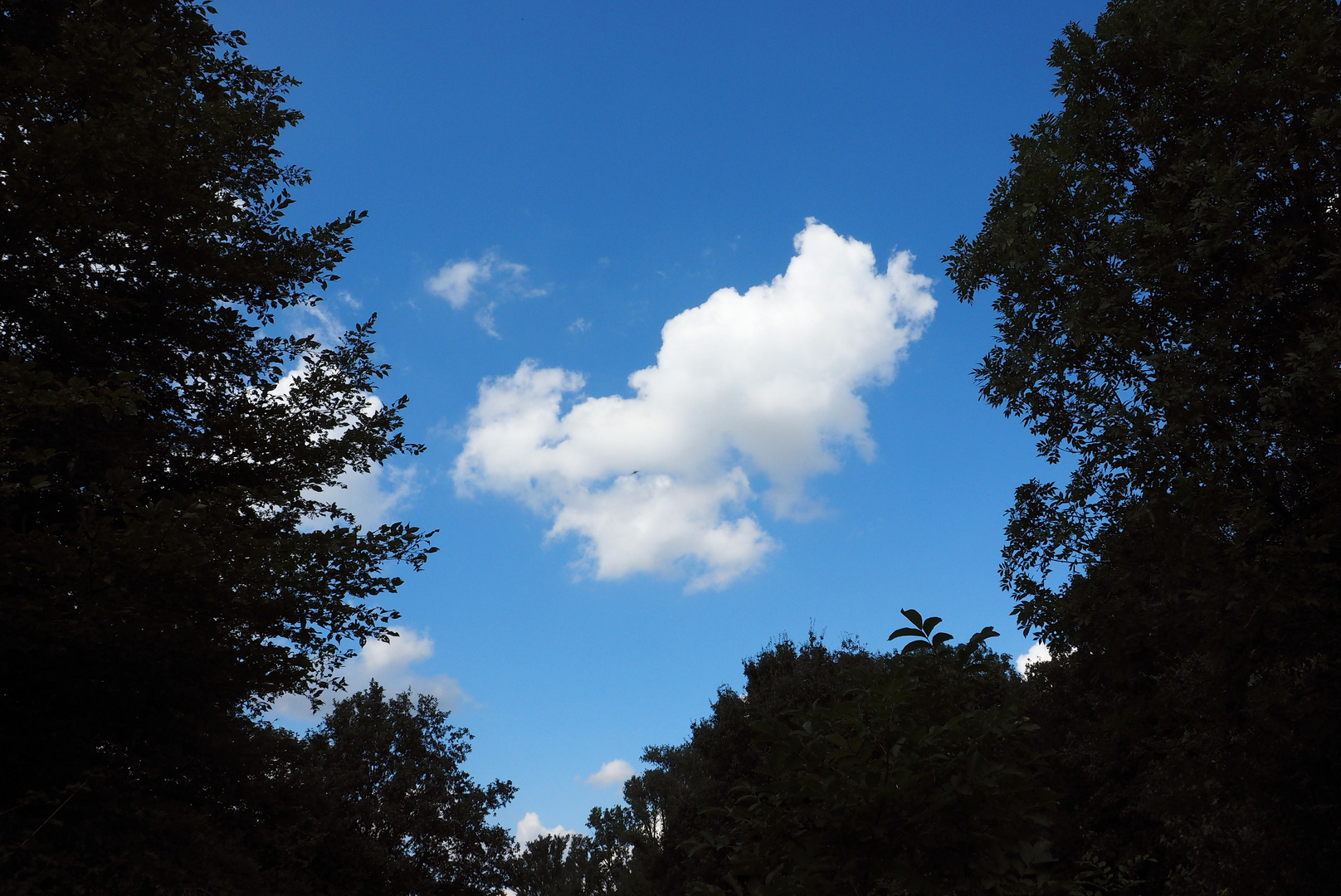 Ein Stück Himmel....