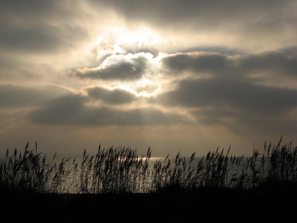 Ein Stück Himmel.