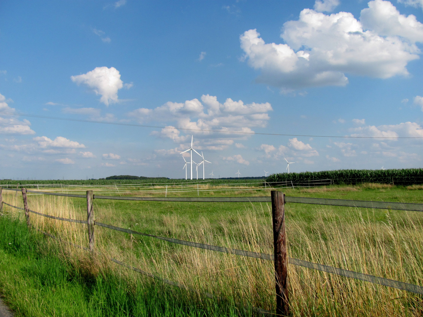 ein Stück Holland.. in Deutschland