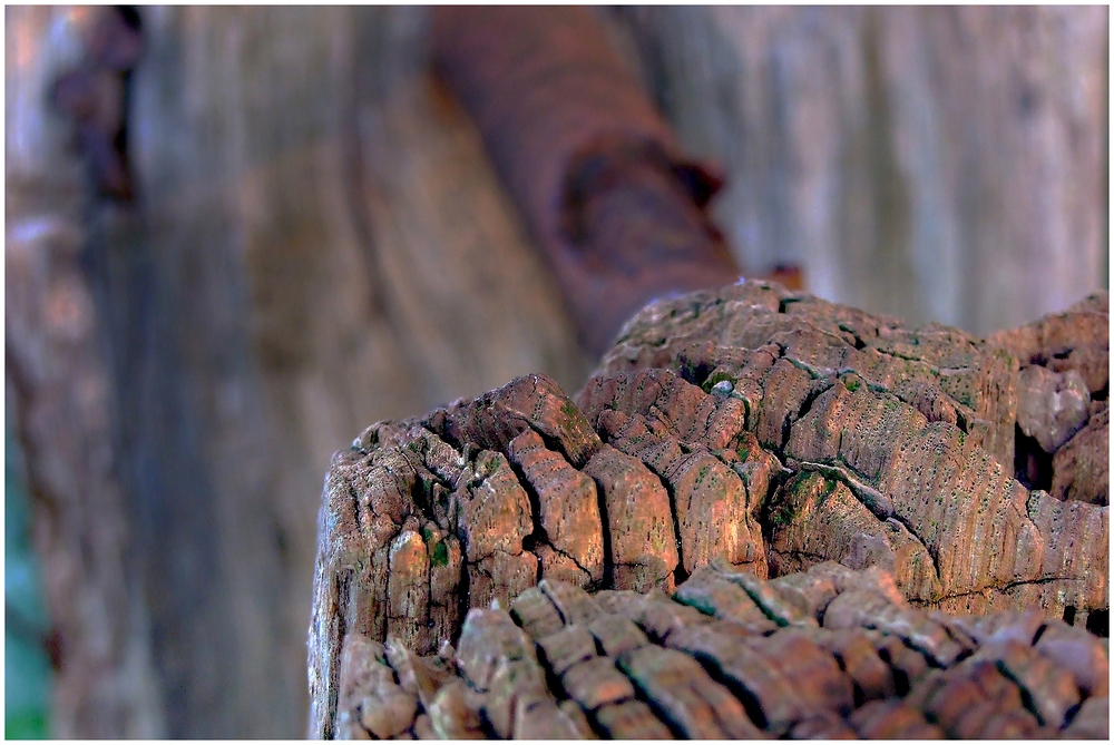 ein Stück Holz...