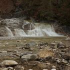 ein stück isar