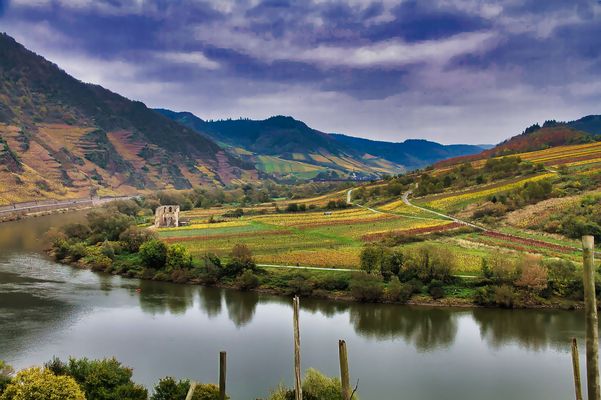 Ein Stück Moselschleife