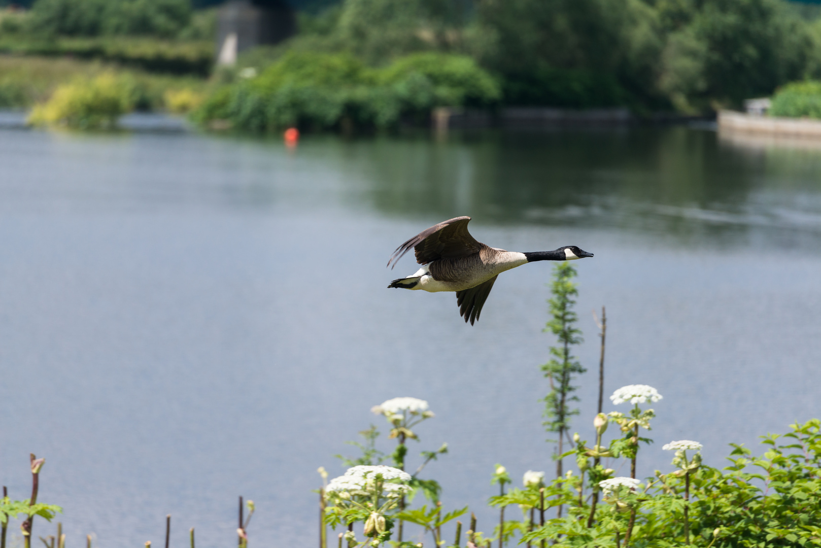 Ein Stück Natur im Ruhrgebiet